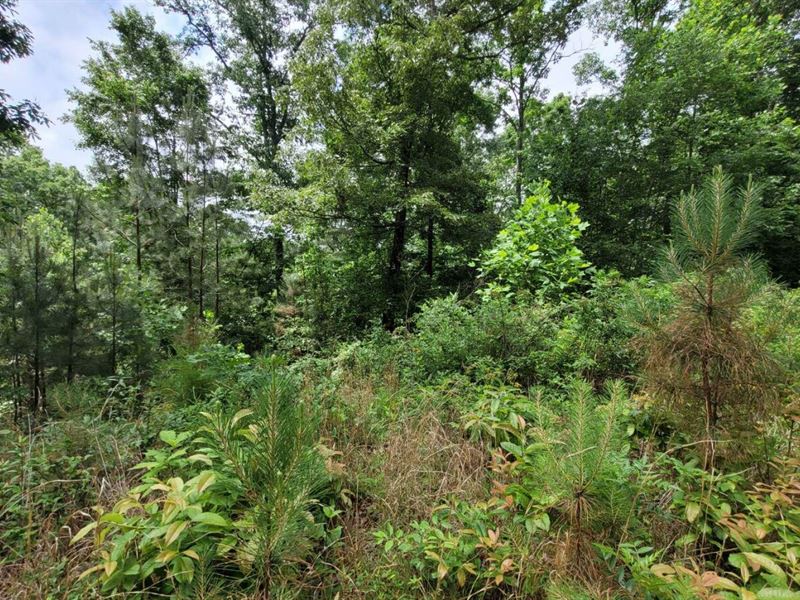 .93 Acre in Blairsville, Georgia : Blairsville : Union County : Georgia