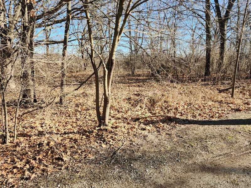 Beautiful Area for Mobile Home / RV : Colon : Saint Joseph County : Michigan