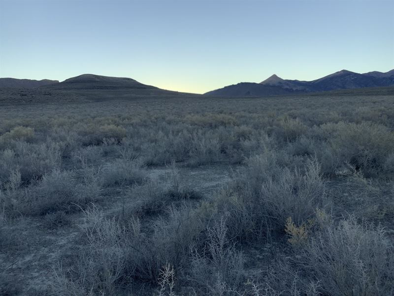 Nevada's Magnificent High Desert : Elko : Elko County : Nevada