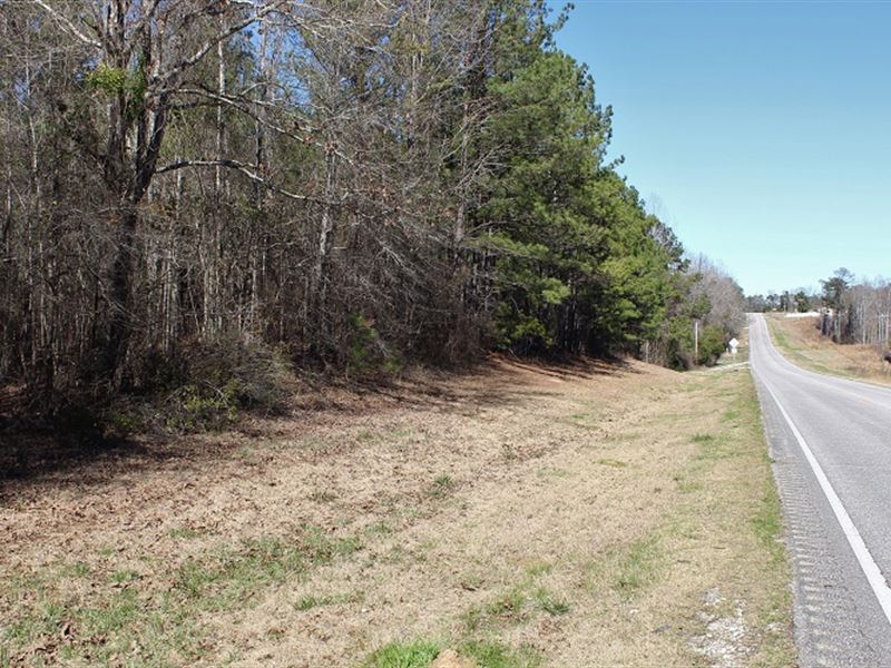 Just 3 Miles South of Auburn, AL : Auburn : Macon County : Alabama