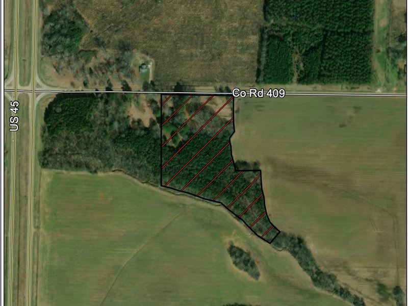 Baker 10 Tract : Kossuth : Alcorn County : Mississippi