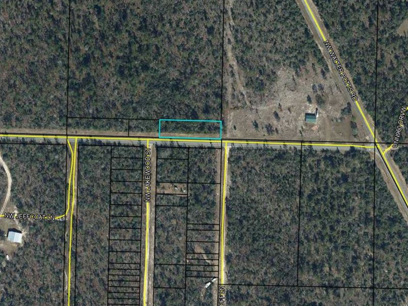 .44 Acre Lot for Sale in Altha : Altha : Calhoun County : Florida
