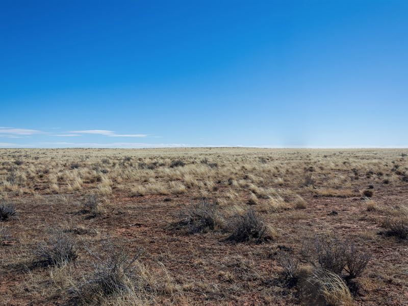 1 Acre, Retreat to Sunny Arizona : Holbrook : Apache County : Arizona
