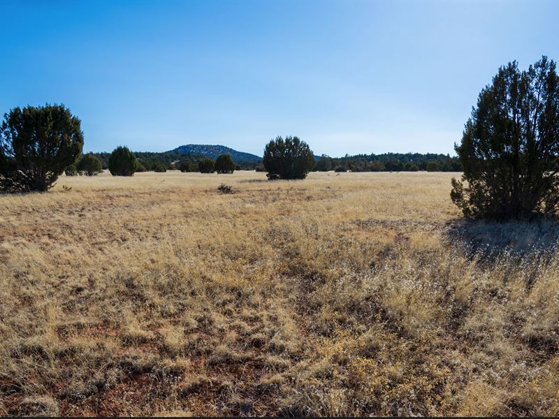 This Lot in Bridge Canyon : Seligman : Yavapai County : Arizona