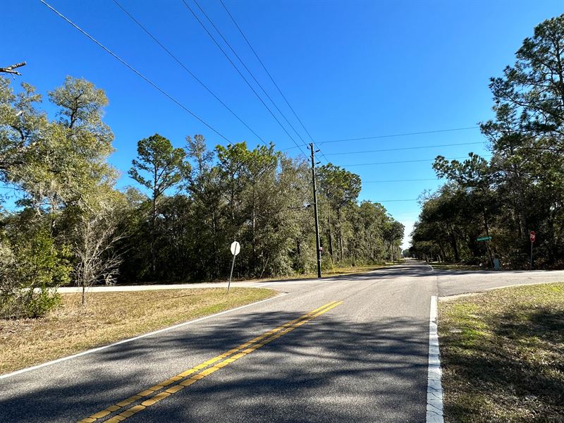 Corner Lot, Power & Paved Road : Webster : Hernando County : Florida