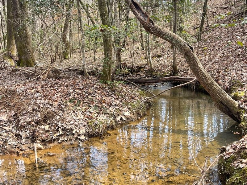 6 Acres Tallapoosa County, AL : Alexander City : Tallapoosa County : Alabama