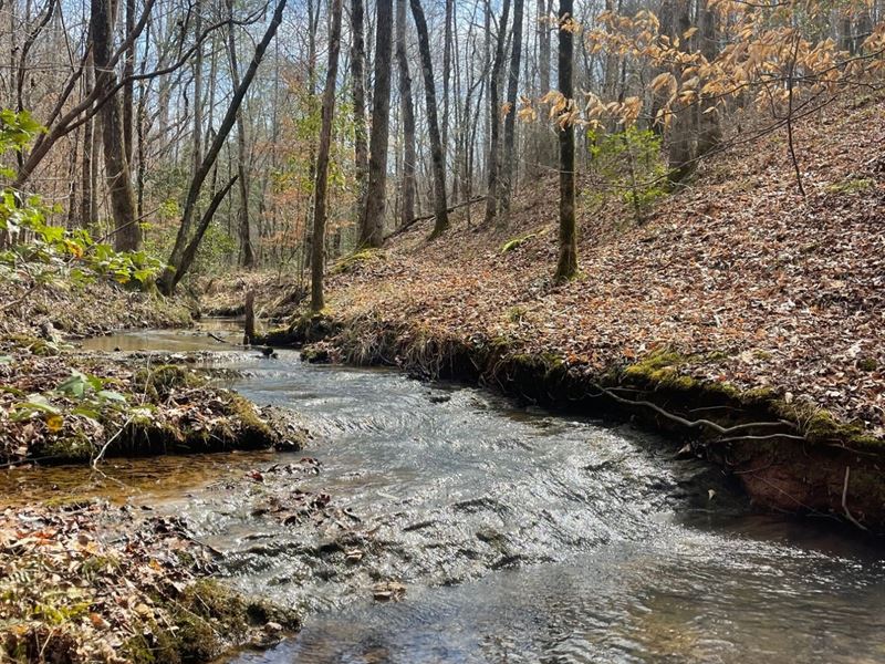 15 Acres Tallapoosa Co : Alexander City : Tallapoosa County : Alabama