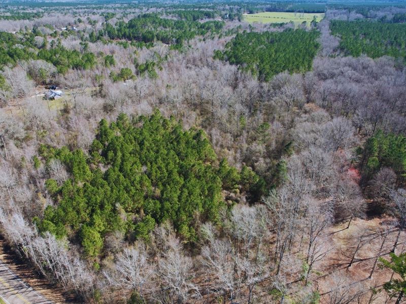 9.74 Acres in Rankin County in Flor : Florence : Rankin County : Mississippi
