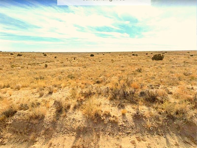 1.01 Acre Only $1 Down, $299/Mo : Rio Rancho : Sandoval County : New Mexico