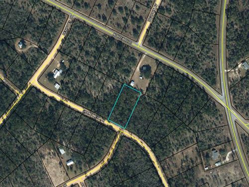 Equestrian Friendly Lake Community : Alford : Jackson County : Florida