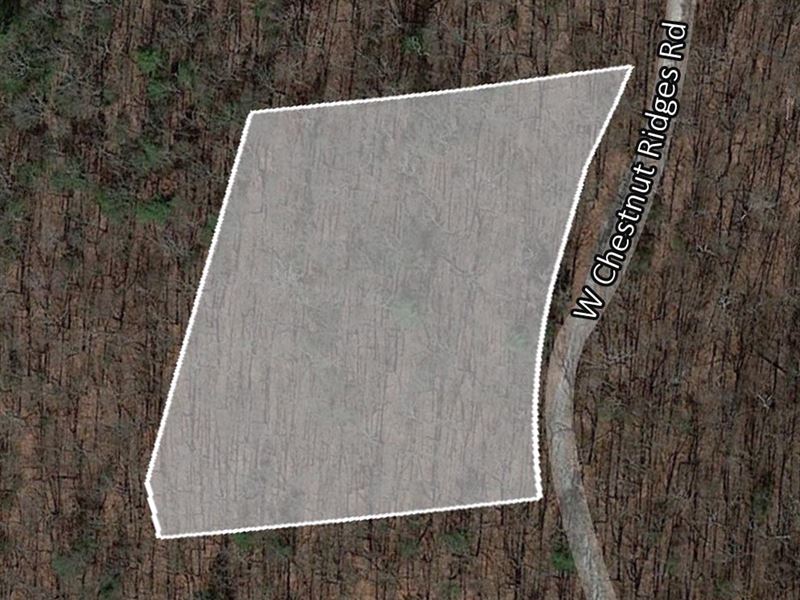 Lush 1.78 Ac Nature-Filled Resident : Zirconia : Henderson County : North Carolina