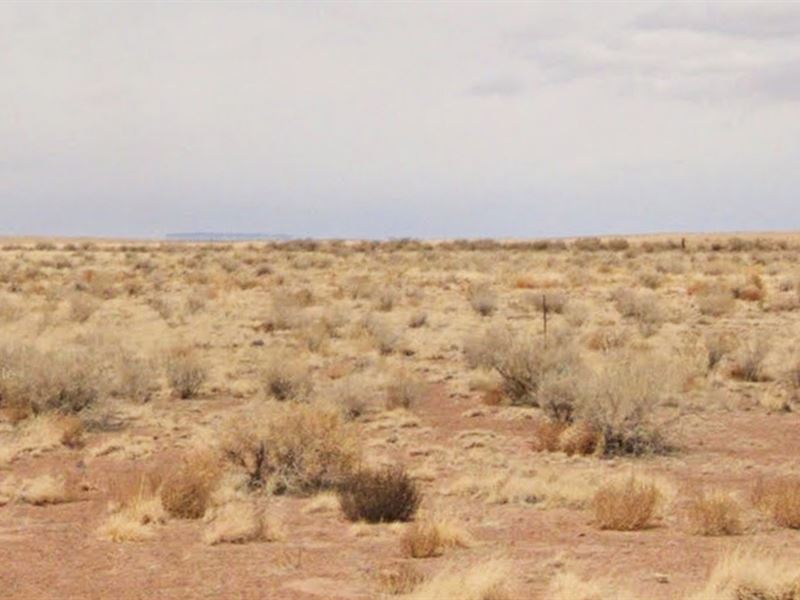 Fantastic 0.25 Ac in Navajo County : Holbrook : Navajo County : Arizona