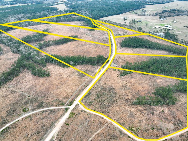 15 Acres, Paces Creek T-3B : Moscow : Polk County : Texas