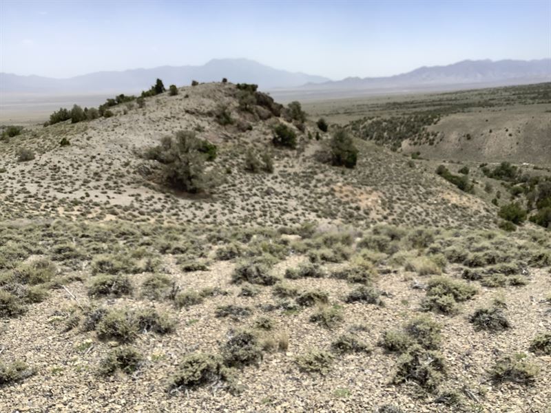 Campground By The Hill : Montello Rd : Elko County : Nevada
