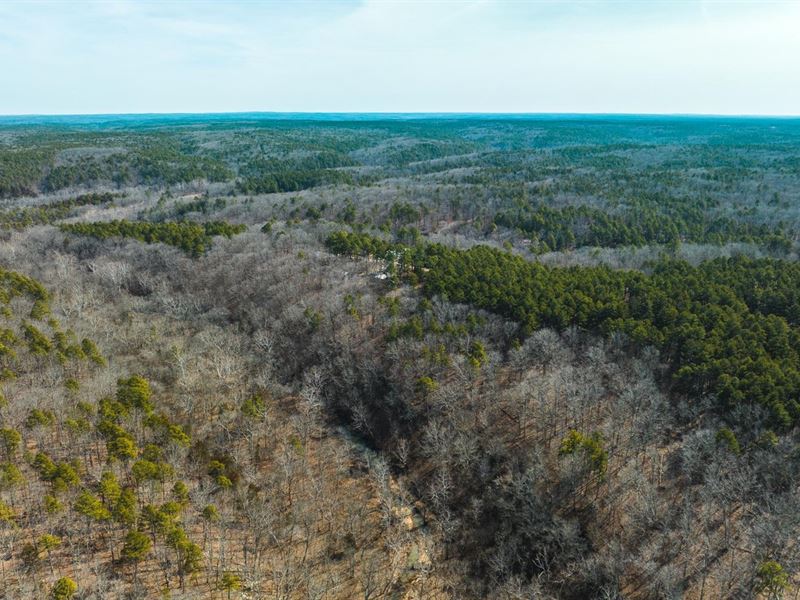 Paddlewheel Estates-Tract 8B : Roby : Texas County : Missouri
