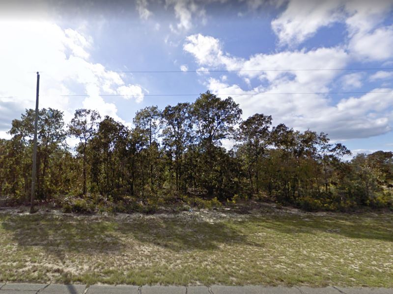 .23 Acre for Sale in Chipley, FL : Chipley : Washington County : Florida