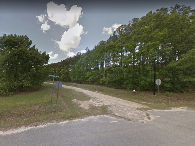 .71 Acre for Sale in Cochran, GA : Cochran : Bleckley County : Georgia