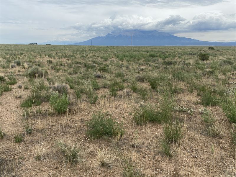 Corner Lot, Power at Road : Blanca : Costilla County : Colorado