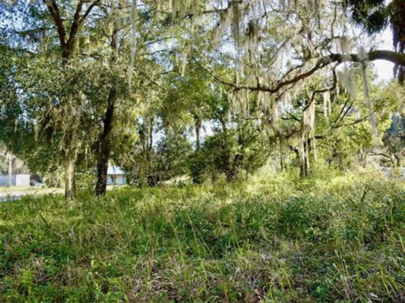 $127/Mo, Near St Johns River : Welaka : Putnam County : Florida