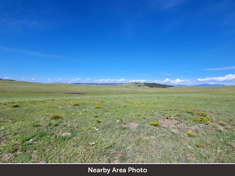 Residential, Ready for Development : Hartsel : Park County : Colorado