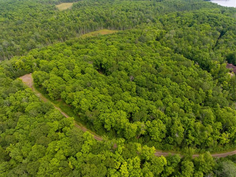 Presque Isle Parcel : Presque Isle : Vilas County : Wisconsin