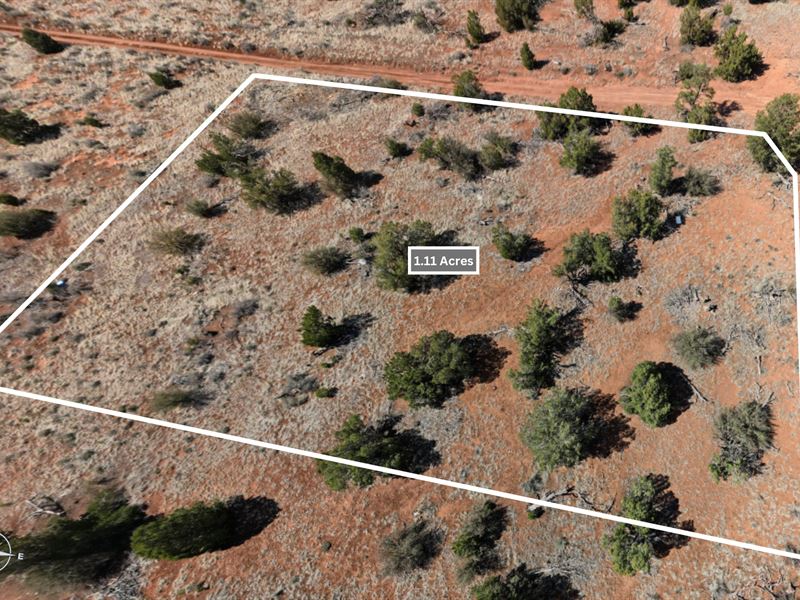1.11 Acre Lot in Grand Canyon, AZ : Williams : Coconino County : Arizona