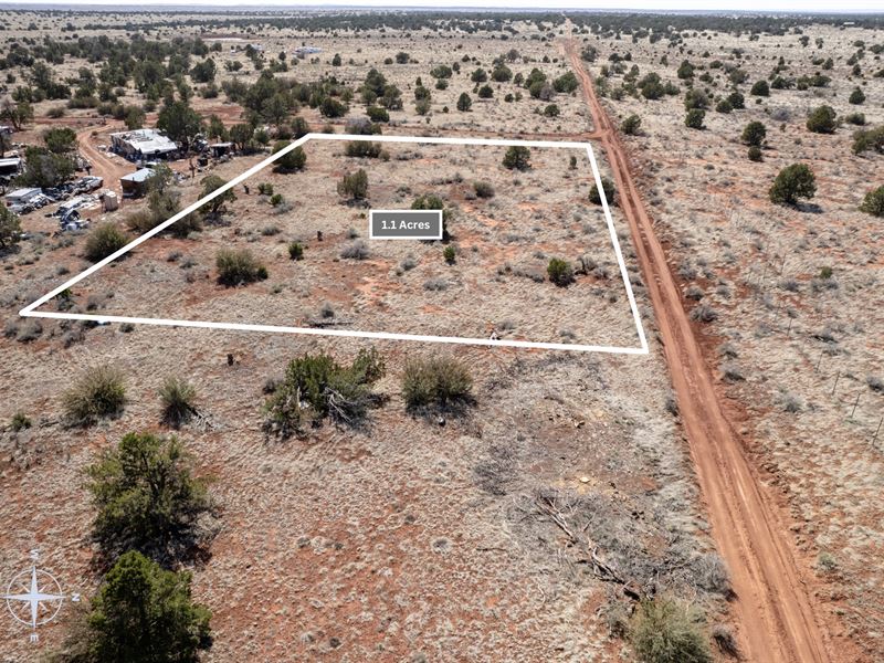 Discover Freedom in This 1 Acre Lot : Williams : Coconino County : Arizona