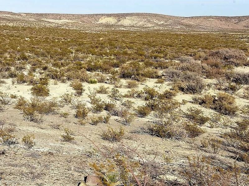 8.17 Ac for Sale in Valentine, TX : Valentine : Jeff Davis County : Texas