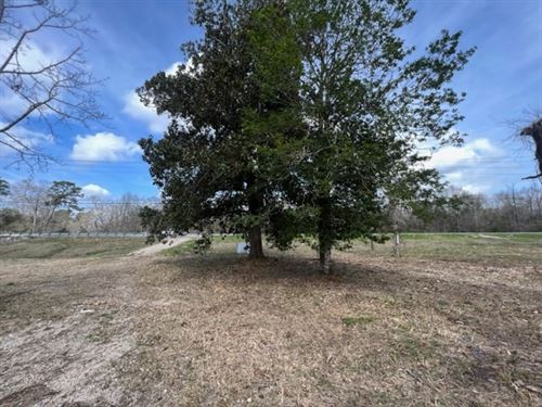 4.3 Acres Located On Hwy 10 / Frank : Franklinton : Washington Parish : Louisiana