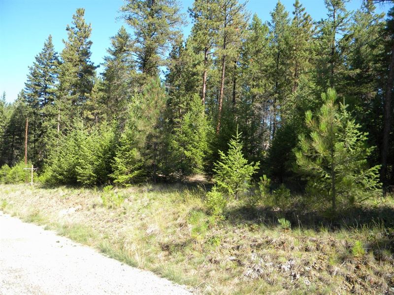 Tobacco Bay Estates Lot : Eureka : Lincoln County : Montana