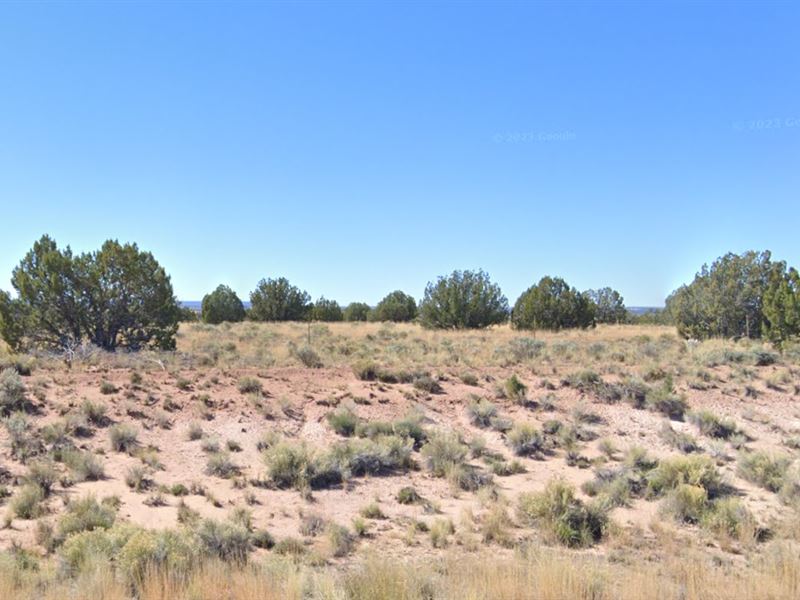Desirable Lot, Rd Access, $80/Month : Sanders : Apache County : Arizona