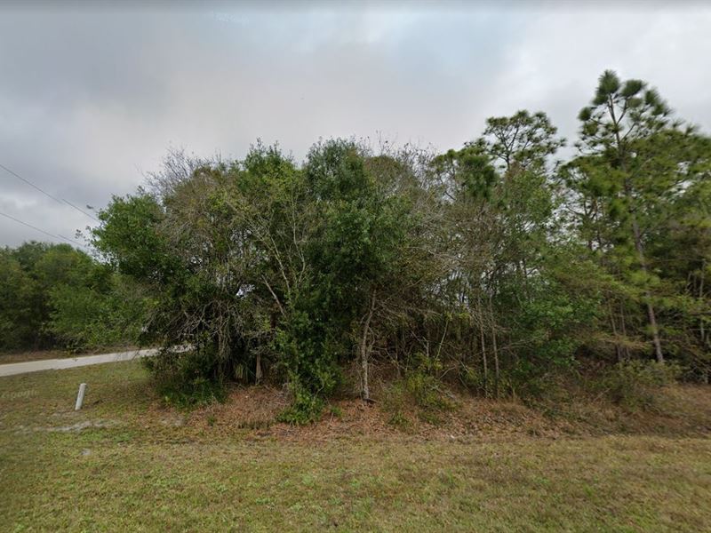 Perfect Spot for Tranquil Getaways : Punta Gorda : Charlotte County : Florida