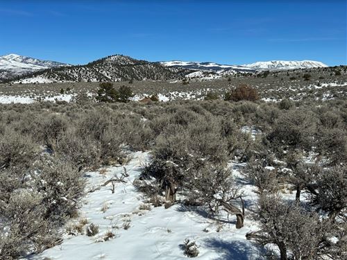 Mt. Blanca & Mt. Lindsey Call : Fort Garland : Costilla County : Colorado