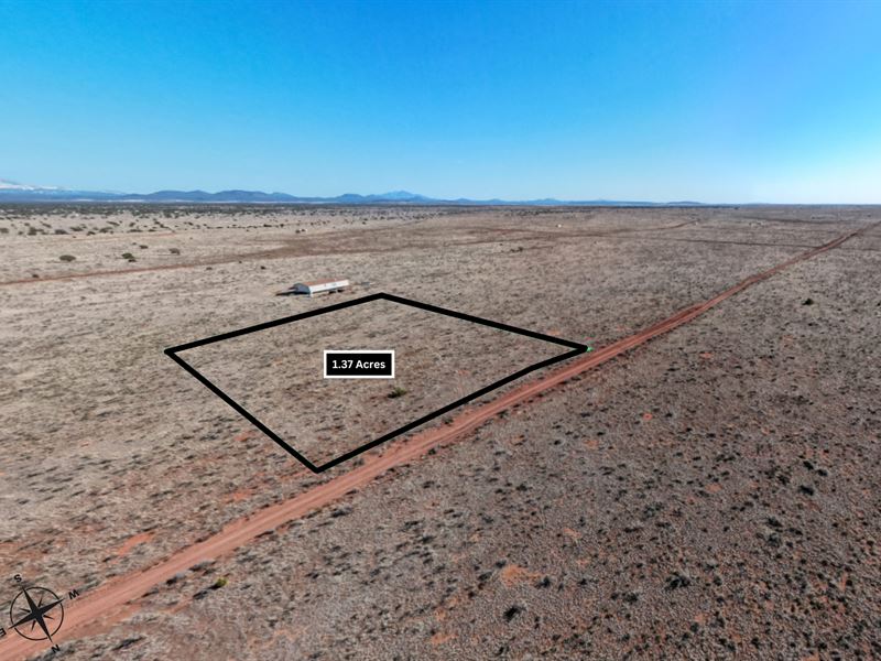 1.37 Acre Lot in Grand Canyon : Williams : Coconino County : Arizona