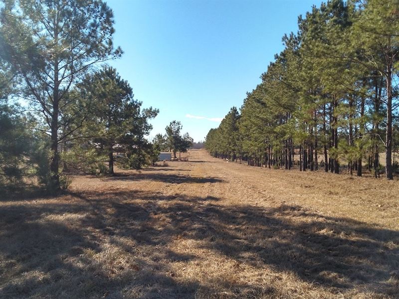 Rocky Creek Road 14.90Ac : Marianna : Jackson County : Florida