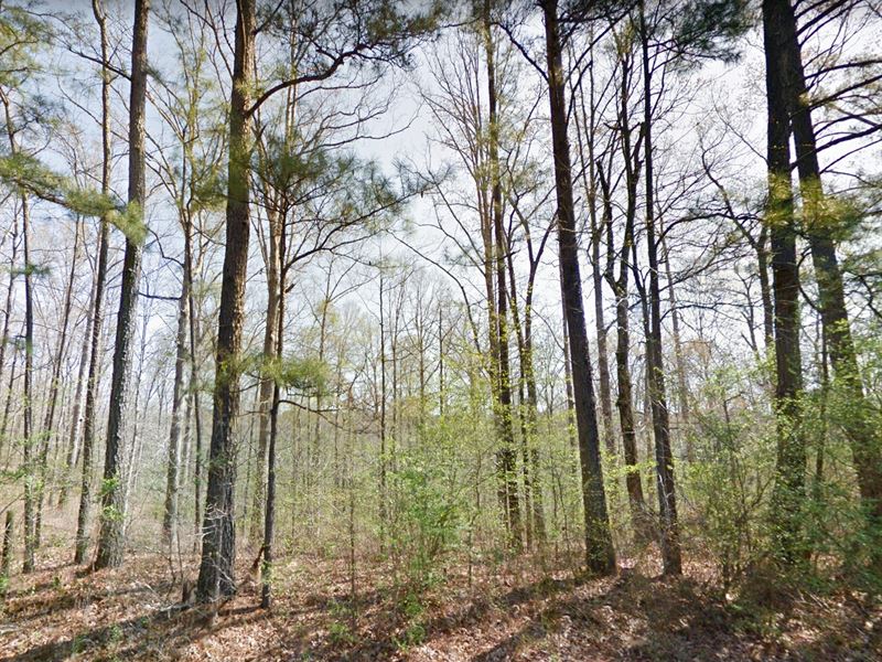 Unrestricted Acreage : Jasper : Walker County : Alabama