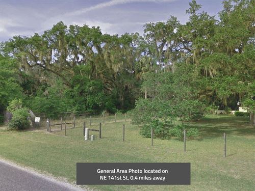 .19 Acre in Marion County, FL : Silver Springs : Marion County : Florida