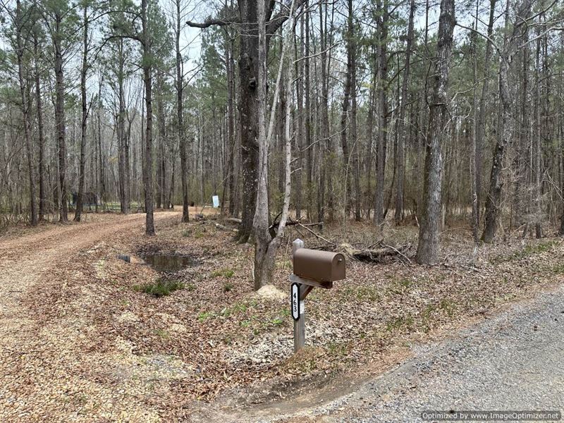 15+/- Ac of Rec Opportunities : Braxton : Rankin County : Mississippi