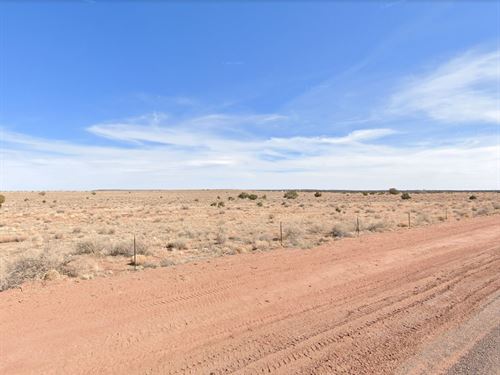 1.19 Acres in Snowflake, $200 : Snowflake : Navajo County : Arizona