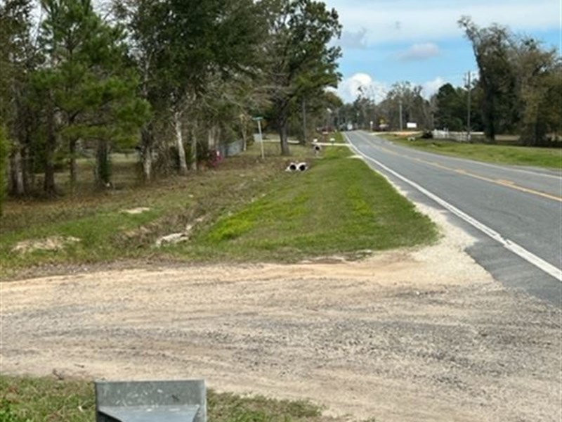 1 Acre Lot for Future Homesite : Grand Ridge : Jackson County : Florida