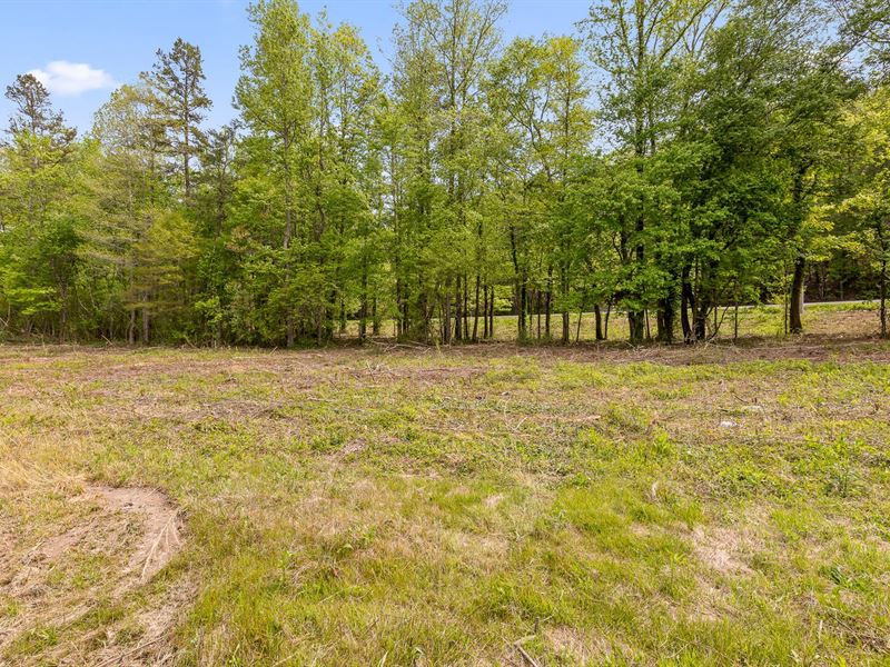 7+/- Unrestricted Acres : Soddy Daisy : Hamilton County : Tennessee