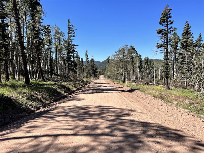 Treed Mountain Land for Sale in CO : Fort Garland : Costilla County : Colorado