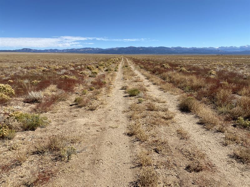 5 Acres of Fun in Co, $170 a Month : Blanca : Costilla County : Colorado