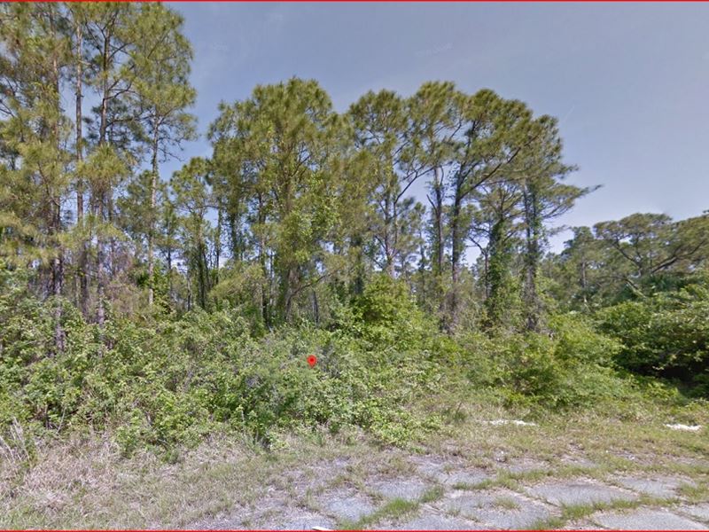 Quiet & Serene Cul-De-Sac Lot : North Port : Sarasota County : Florida