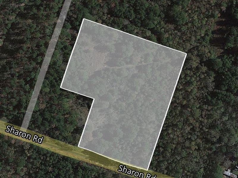 Ready for Building Land Deal : Canton : Madison County : Mississippi