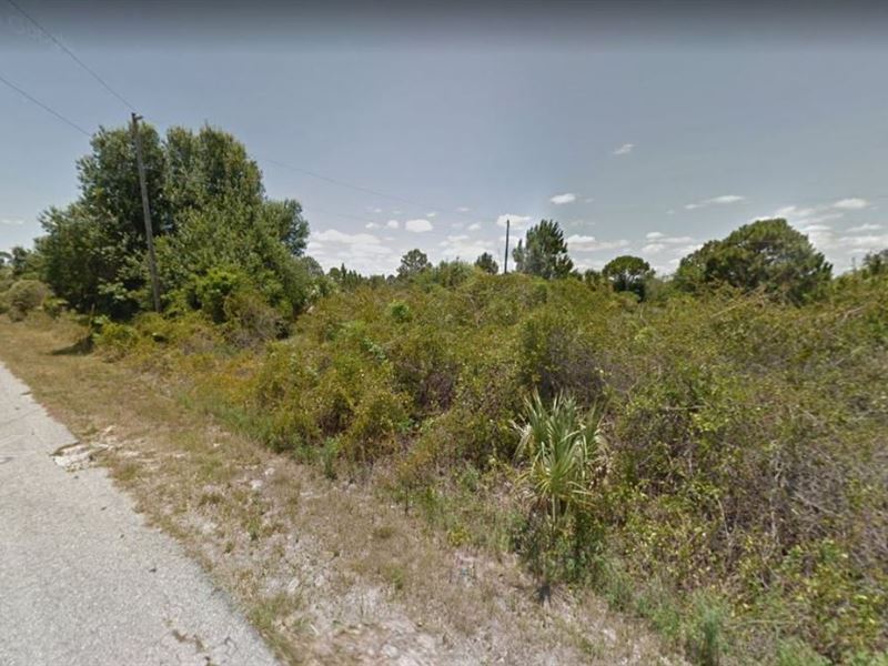 Explore Punta Gorda Nature Park : Punta Gorda : Charlotte County : Florida