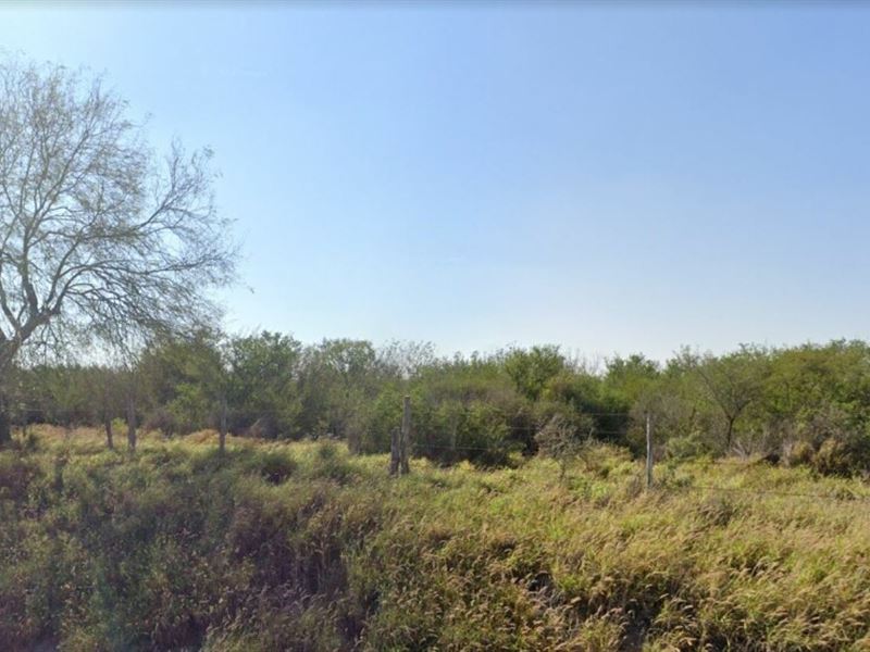 5.67 Acres for Sale in Penitas, TX : Penitas : Hidalgo County : Texas