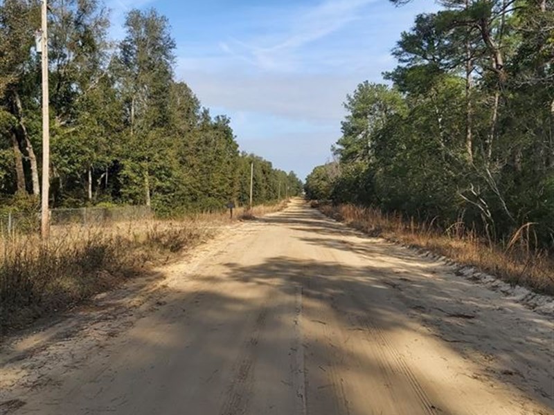 Space, Secluded Lot with Power : Interlachen : Putnam County : Florida