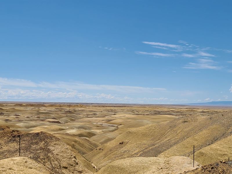 Land, Sweet Land, Plot You'll Love : Holbrook : Apache County : Arizona