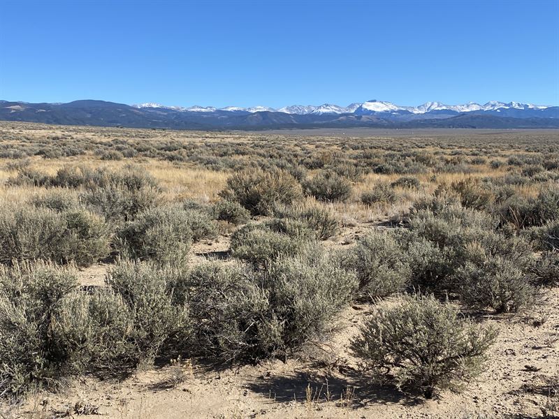 Wilderness Haven on 5.09 Acres : Blanca : Costilla County : Colorado